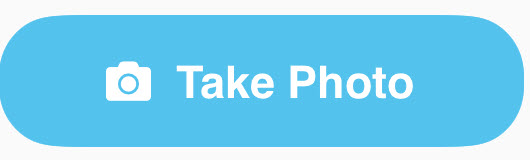 TakePhotopVault.jpeg