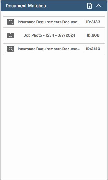 PVCRetrieveQueuesDocumentInformationpaneDocumentMatchessection-mh.PNG